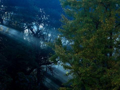 腾冲，腾冲，迟来的救一把！35