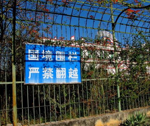 腾冲，腾冲，迟来的救一把！83