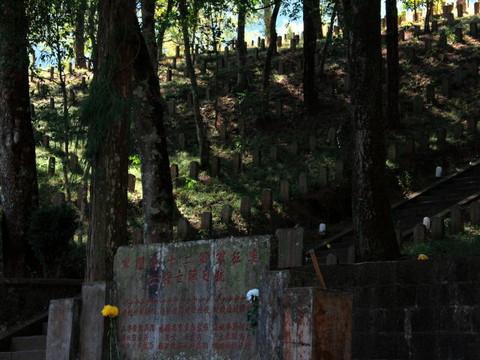 腾冲，腾冲，迟来的救一把！105