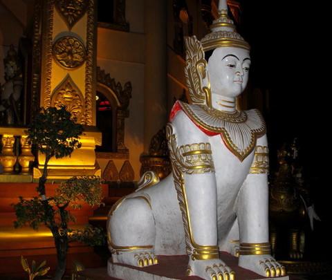 腾冲，腾冲，迟来的救一把！74