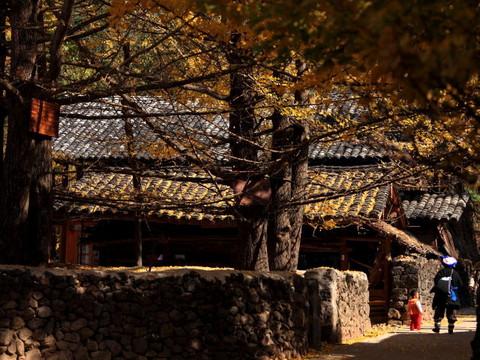 腾冲，腾冲，迟来的救一把！44