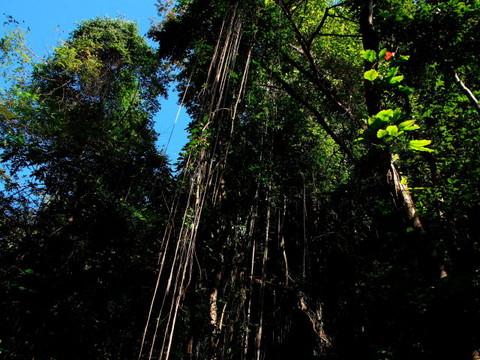 腾冲，腾冲，迟来的救一把！79