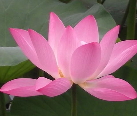 毕业旅行-----------------济南5