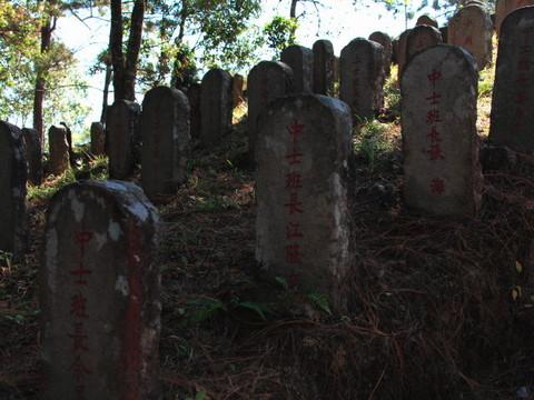 腾冲，腾冲，迟来的救一把！3