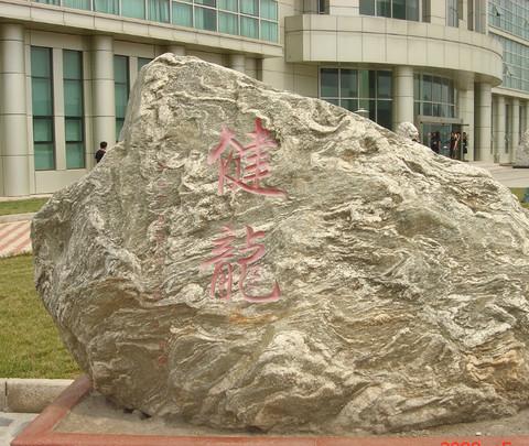 美在--------天津古文化街3