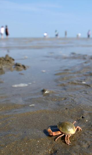 溜达在天津的两天