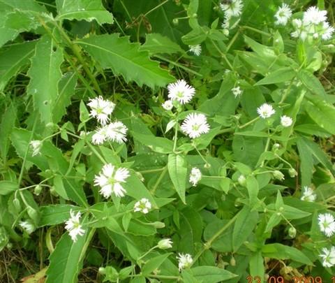 大兴安岭~09年9月风光3