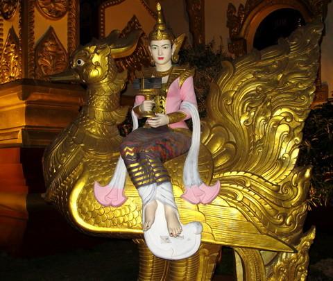 腾冲，腾冲，迟来的救一把！75