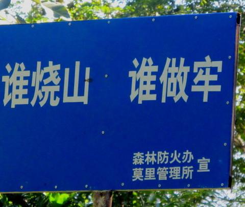 腾冲，腾冲，迟来的救一把！80