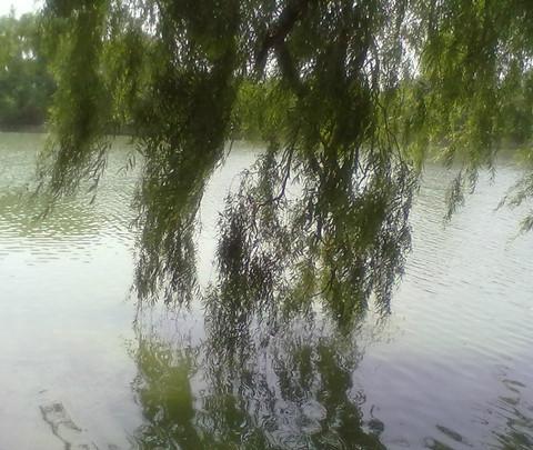 【金戈铁马，昭陵下江山风雨情。】45