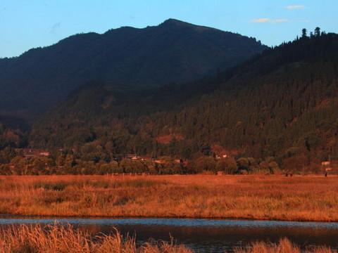 腾冲，腾冲，迟来的救一把！56