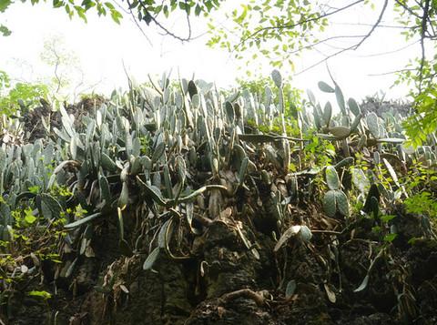 一个人的旅行-多彩贵州12