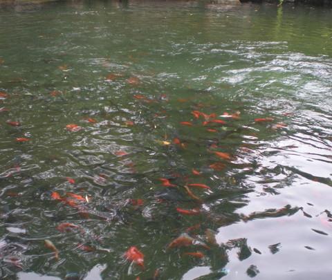 毕业旅行-----------------济南26