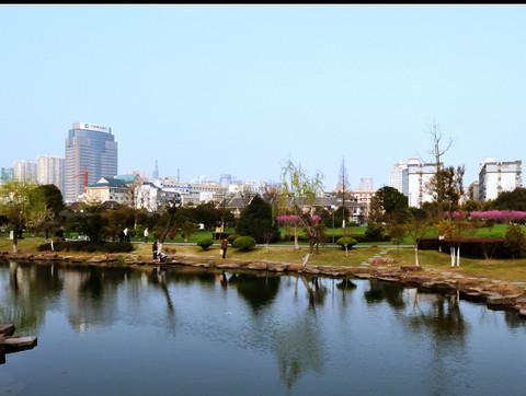宁波月湖公园5