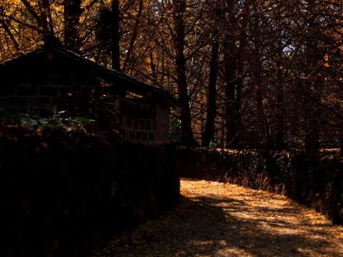 腾冲，腾冲，迟来的救一把！52