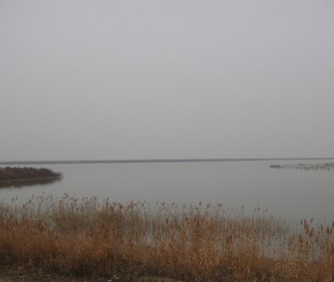 团泊洼，你去过吗？3