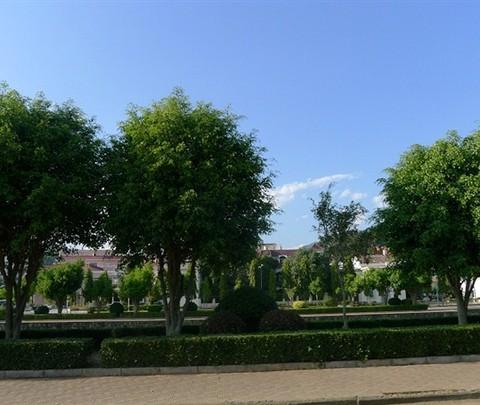 疯子出品—6天—1123元—西双版纳（望天树/中科植物园/曼点瀑布/打洛缅甸边境/勐远仙境）150