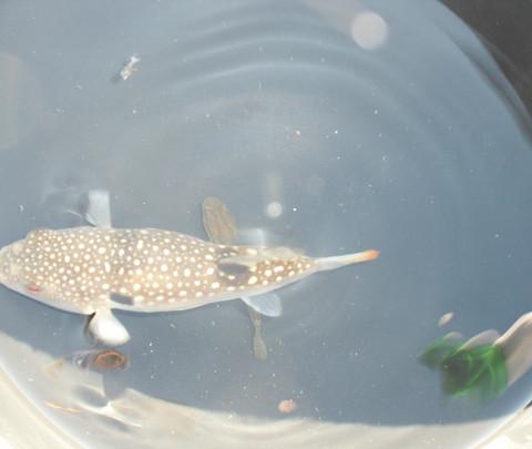 十一海阳赶海5