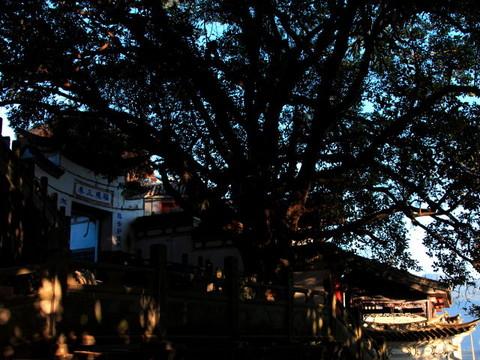 腾冲，腾冲，迟来的救一把！15