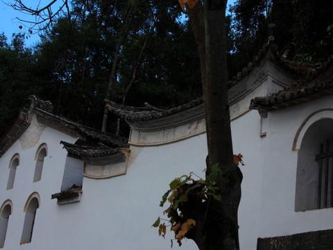 腾冲，腾冲，迟来的救一把！24