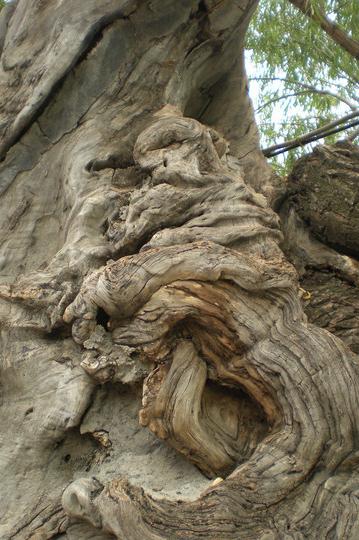 毕业旅行-----------------济南17