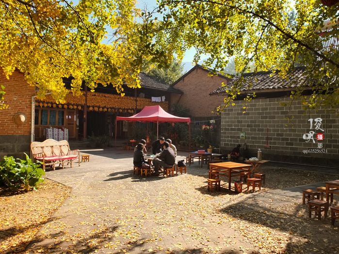 银杏村印象6