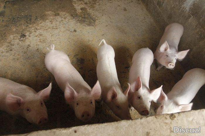 爱上腾冲，难忘的宁静和美丽22