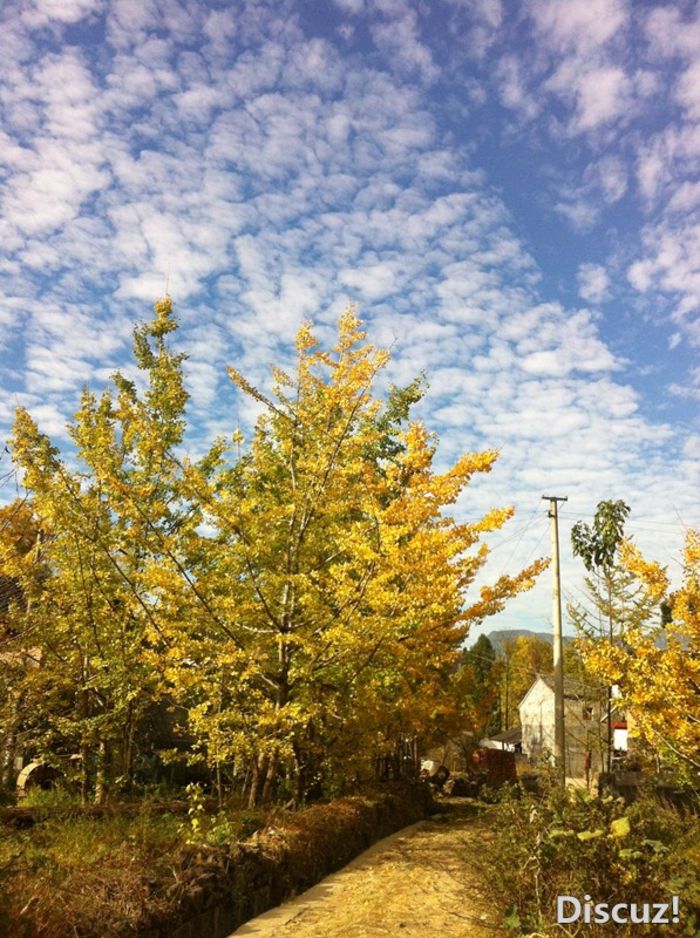 爱上腾冲，难忘的宁静和美丽21