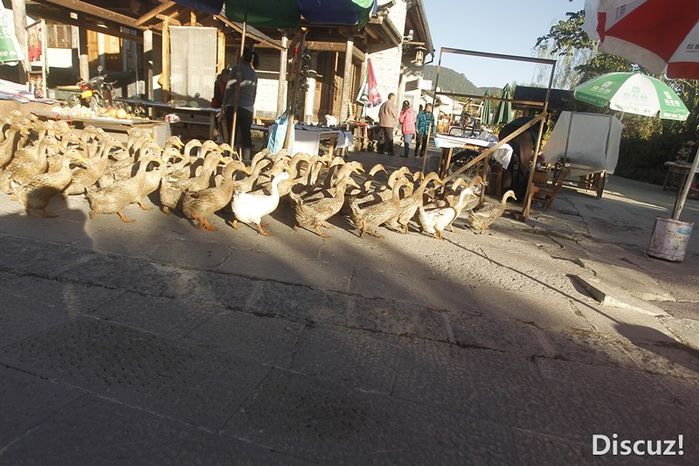 爱上腾冲，难忘的宁静和美丽8