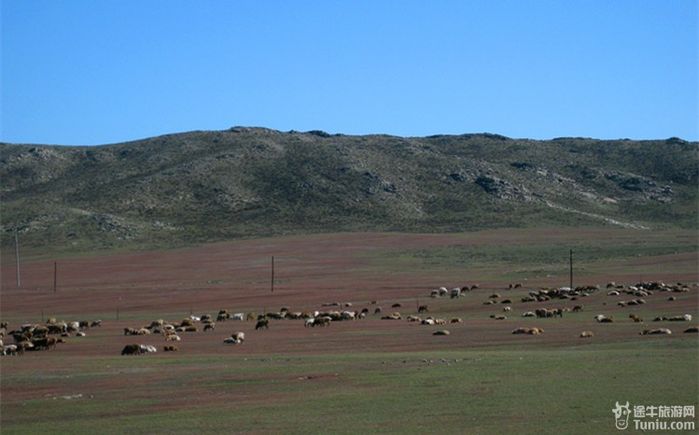 “中国最后一片净土—喀纳斯”感受“瑞士风光”9