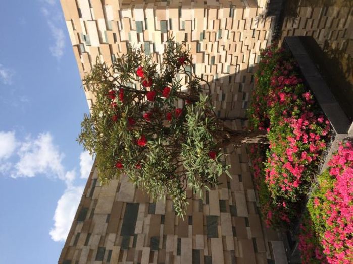 清明去哪儿——云南腾冲”石头纪“小长假之旅5