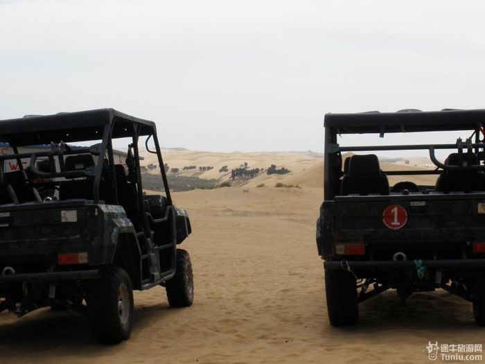秋游希拉穆仁草原和库布齐沙漠12