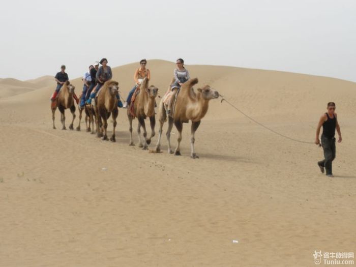 秋游希拉穆仁草原和库布齐沙漠11