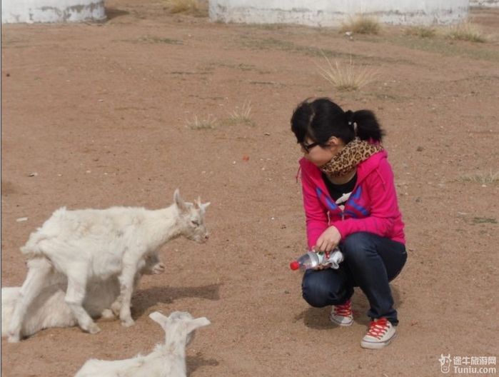 【内蒙古旅游攻略】追寻三毛的灵动~~塞北沙漠，大漠草原8
