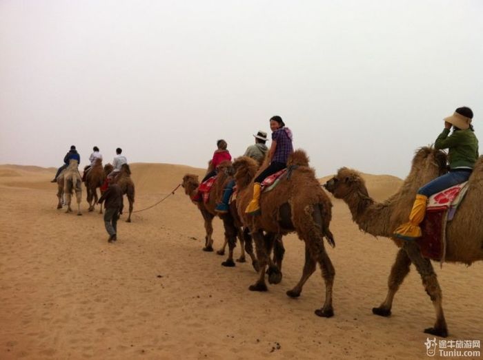 【内蒙古旅游攻略】追寻三毛的灵动~~塞北沙漠，大漠草原25