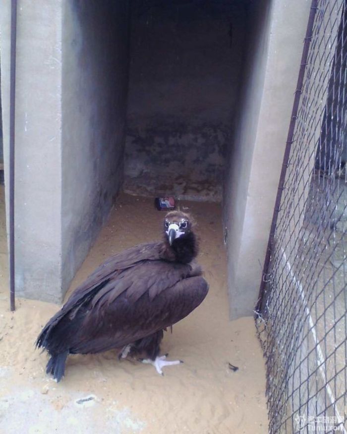 【内蒙古旅游攻略】追寻三毛的灵动~~塞北沙漠，大漠草原27