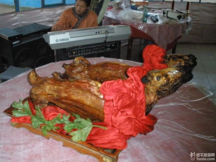 秋游希拉穆仁草原和库布齐沙漠4