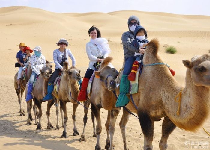【内蒙旅游攻略】美丽四日行，内蒙古草原大漠之旅17