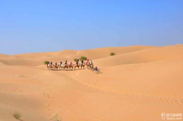 【内蒙旅游攻略】美丽四日行，内蒙古草原大漠之旅16