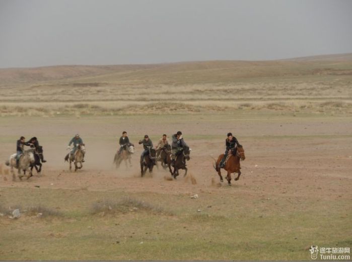 【内蒙古旅游攻略】追寻三毛的灵动~~塞北沙漠，大漠草原14