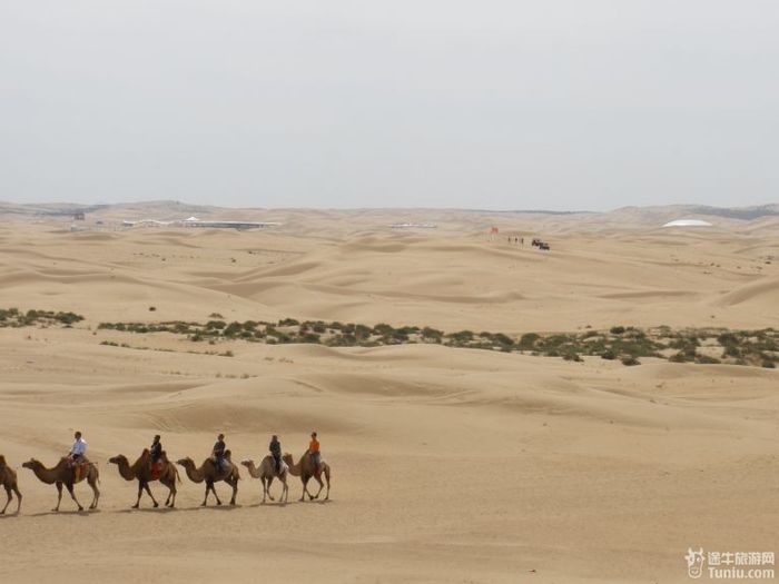 秋游希拉穆仁草原和库布齐沙漠13