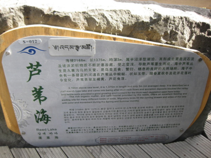 在尚好的青春,疯走火辣辣的四川—— 九寨沟9