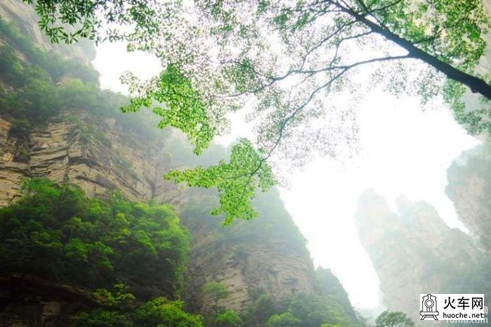 【爱旅行】自助旅游张家界三日游~全程配图~22