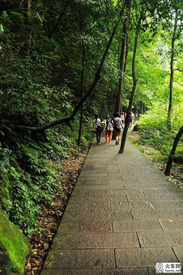 【爱旅行】自助旅游张家界三日游~全程配图~55