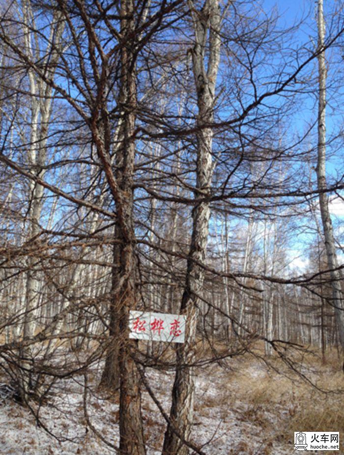呼伦贝尔北线游记(13国庆)18
