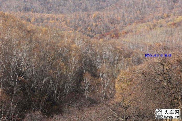 2013年国庆木兰围场之寻秋之旅之童话之旅53