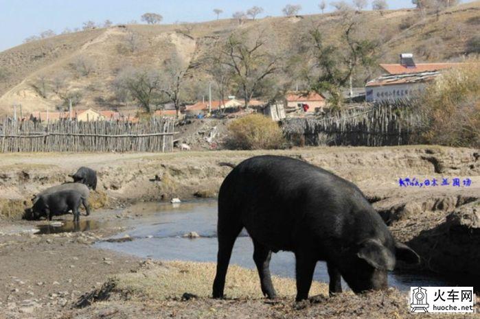 2013年国庆木兰围场之寻秋之旅之童话之旅57