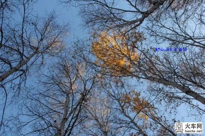 2013年国庆木兰围场之寻秋之旅之童话之旅39