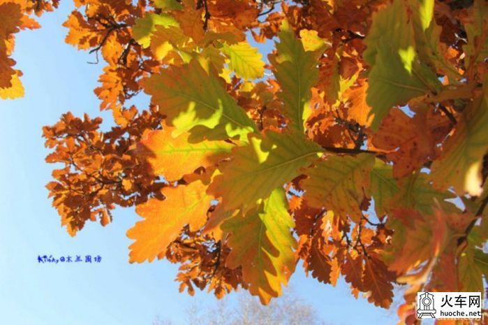 2013年国庆木兰围场之寻秋之旅之童话之旅32