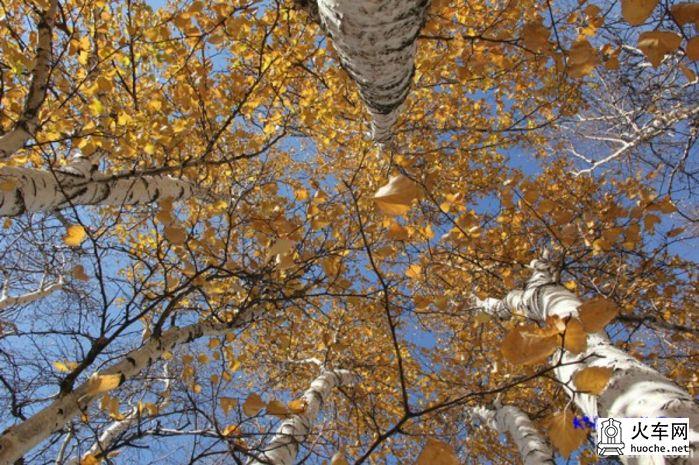 2013年国庆木兰围场之寻秋之旅之童话之旅31